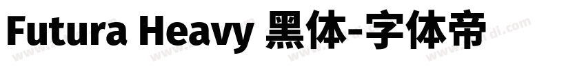Futura Heavy 黑体字体转换